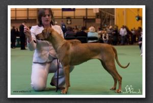 Mirengo's Maiya with Mutoko JW