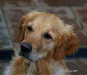 Chase age 5 years