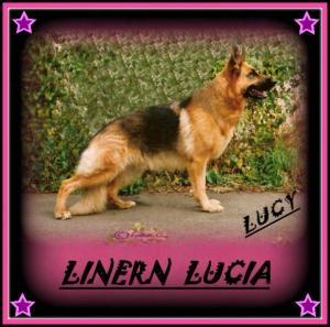 LINERN LUCIA ( LUCY ) . HIP SCORE - 8.