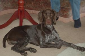 Posing for the camera