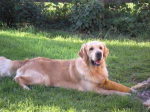 Josh relaxing