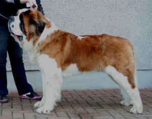 Jacob aged 18 months
