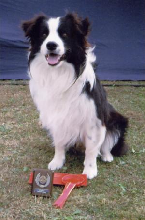 Wizard with his rosette and trophy