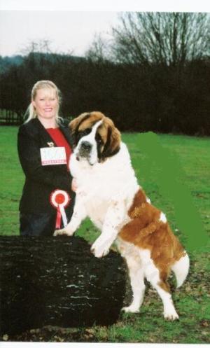 Louis at Wood green & Palmers Green