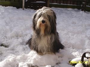 All this white stuff, Wow