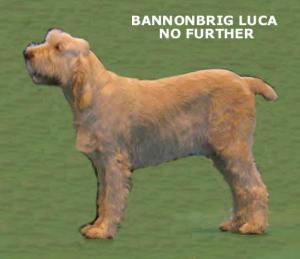 LUCA