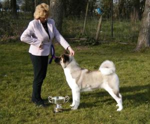 SHYLLAR TRENDI NOSE TO TAIL JW