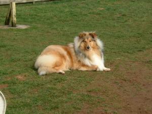 Skye at 10mths