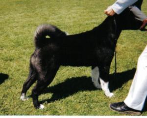 Keasha (Kitado Kirei With Calicelesti)