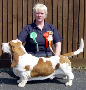 BOB & Group 4 Hound