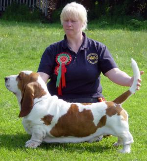 Reseve Best Dog