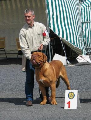 B.O.B EMBEREZ APOLLO