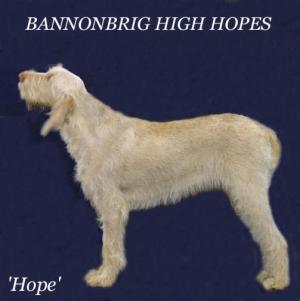 BANNONBRIG HIGH HOPES