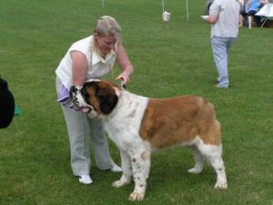 Bella (typically out of coat at this show!!)
