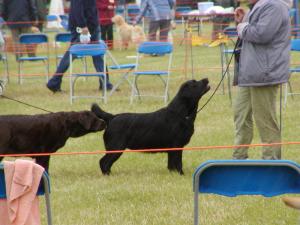 Emily in the ring getting a soaking at Blackpool