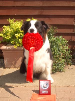 Wizard with his rosette and trophy