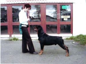 Vinnie Gets Two Firsts