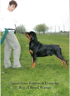BEST OF BREED