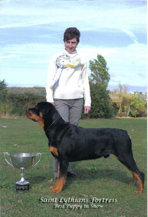 Vinnie Wins Best Puppy In Show