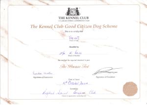 Heidi's Certificate