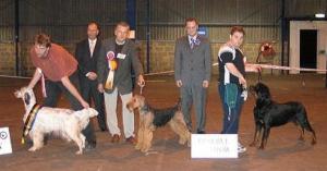 Best in Show line up