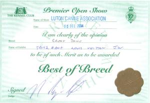 Best Of Breed Certificate