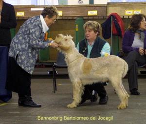 BANNONBRIG BARTOLOMEO DEL JOCAGIL
