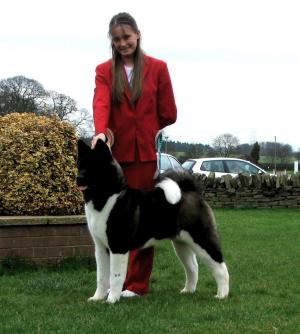 Dodger 6 months
