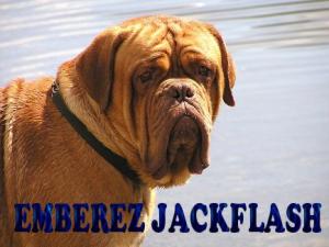 EMBEREZ JACKFLASH