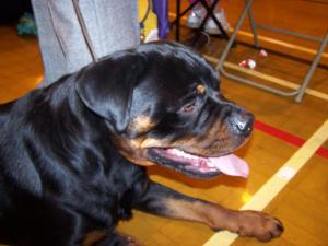 erik 2005