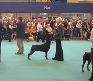 ERIK & SUE AT CRUFTS 2005