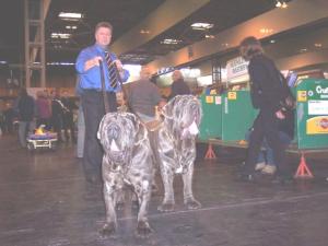 Toga & pepe Crufts 2005