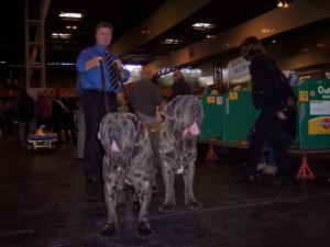 Toga & Pepe Crufts 2005