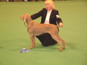 Alley at Crufts 2005
