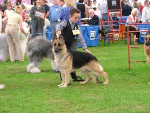 Crufts 2005