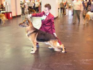 Crufts 2005