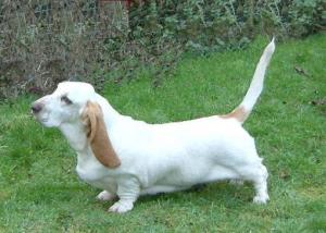 Barrenger Moonlight at 9 months