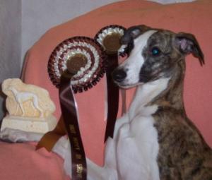 Libbee with her rosettes