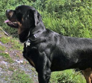 ERIK THE LUMP AGE 17 MONTHS