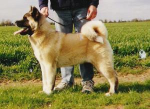 '' Ozzie '' Pictured At Just 6 Months .
