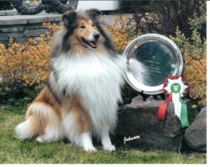 Shady Res. BEST IN SHOW