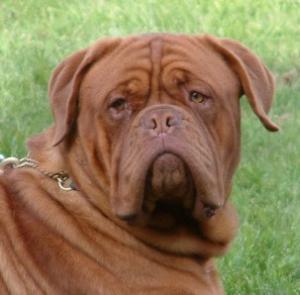 Henry 13 mths old