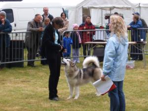 Faona At Builth Wells