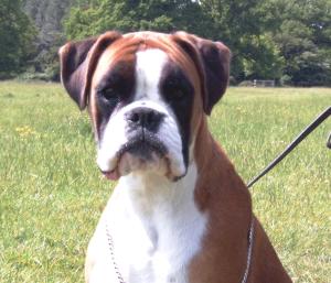 **DIOR AT 12 MONTHS OLD**