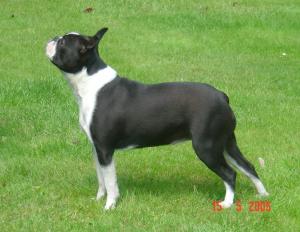 'Soda' at her first major show
