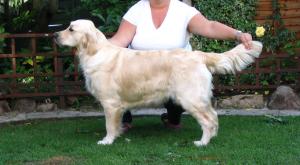 Amber aged 15 months