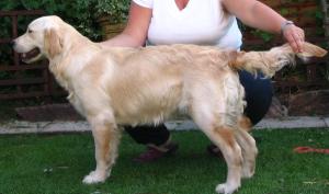 Chelsea aged 6 months