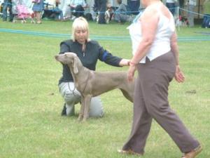 At the show