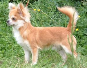 Brad at 8 months
