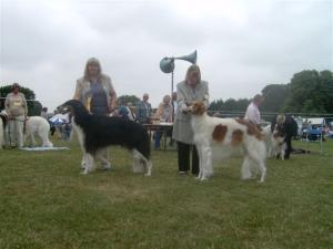 INGLEDENE MOON GODDESS AND INGLEDENE ONCE IN A DRE